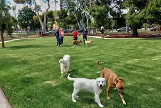 Pet Park